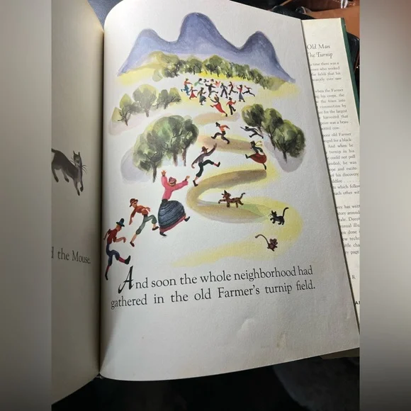 Gidappy Illustrated Children's Book - Picture 12 of 14